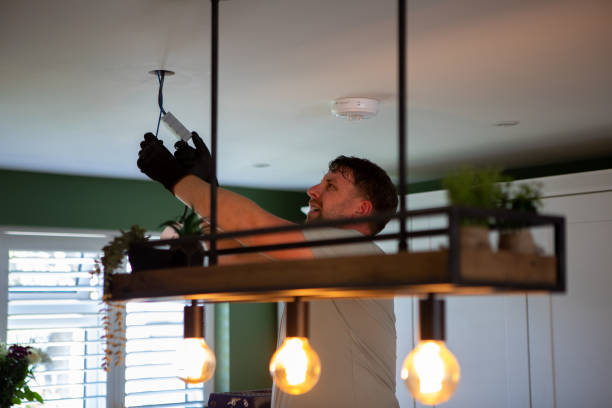 Best Electric Panel Repair  in Brookland, AR